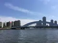 東京湾クルージングの写真_241441