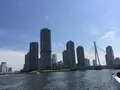 東京湾クルージングの写真_241442