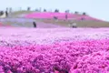 茶臼山高原の写真_241633