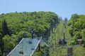 茶臼山高原の写真_241636