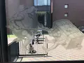 東京都美術館の写真_242242