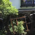 一休庵の写真_242390