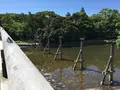 伊勢神宮内宮（皇大神宮）の写真_242516