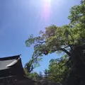 伊勢神宮内宮（皇大神宮）の写真_242523