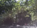 伊勢神宮内宮（皇大神宮）の写真_242531