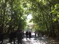 伊勢神宮内宮（皇大神宮）の写真_242532