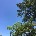 伊勢神宮外宮（豊受大神宮）の写真_242545