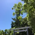 伊勢神宮外宮（豊受大神宮）の写真_242550