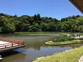 伊勢神宮外宮（豊受大神宮）の写真_242551