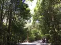 伊勢神宮外宮（豊受大神宮）の写真_242554