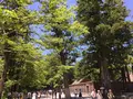 伊勢神宮外宮（豊受大神宮）の写真_242567