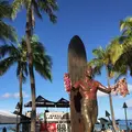  The Royal Hawaiian（ロイヤル ハワイアン ホテル）の写真_243212