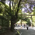 熱田神宮の写真_243224