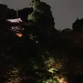 椿山荘 庭園の写真_243345
