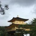 金閣寺（鹿苑寺）の写真_243552