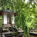 金閣寺（鹿苑寺）の写真_243553