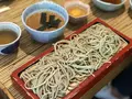 布恒更科の写真_243621