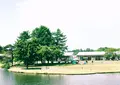 ハルニレテラスの写真_243811