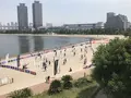 お台場海浜公園の写真_243987