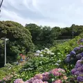 形原温泉あじさいの里の写真_244558