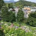 形原温泉あじさいの里の写真_244559