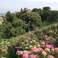 形原温泉あじさいの里の写真_244560
