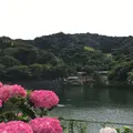 形原温泉あじさいの里の写真_244566
