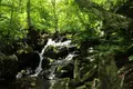 県立自然公園宇津江四十八滝の写真_244580