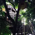 なんじゃもんじゃカフェの写真_244631