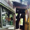 なんじゃもんじゃカフェの写真_244633