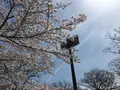 鴻巣市立陸上競技場の写真_244642