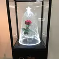 こうのすシネマの写真_244752