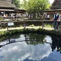 忍野八海の写真_245728