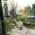 みすとらるの写真_246183