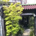 みすとらるの写真_246184