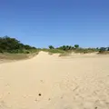 国営木曽三川公園ワイルドネイチャープラザの写真_246292