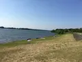 国営木曽三川公園ワイルドネイチャープラザの写真_246293
