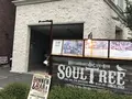Cafe Soul Tree	 (カフェ・ソウルツリー)の写真_247284