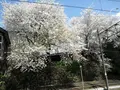 南小樽駅の写真_247439