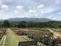那須フラワーワールドの写真_247481