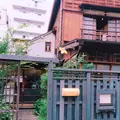 石見銀山 群言堂 西荻窪（暮らしの研究室）旧：りげんどうの写真_247854
