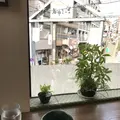 やなか健真堂の写真_248544