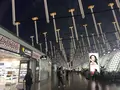 上海の写真_248614