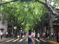 上海の写真_248615