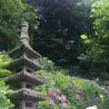 長谷寺の写真_248800