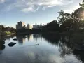 水前寺成趣園の写真_249050