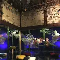 ホテル雅叙園東京（旧 目黒雅叙園）の写真_249413