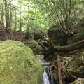 乳岩峡の写真_249635