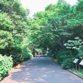 新宿御苑の写真_250190