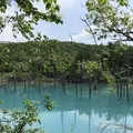 白金青い池の写真_251092